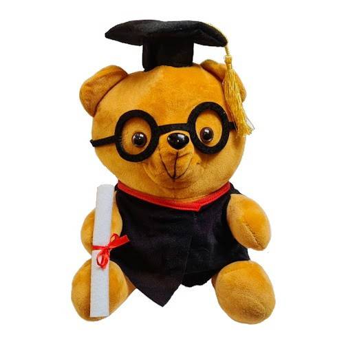 45759b9a28f3c09990a95e93968954fe.jpg Jucarie de plus urs absolvent, 30cm - imagine 1
